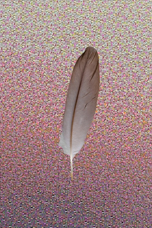 SEWA — photographic mosaic by Charles Turnell
