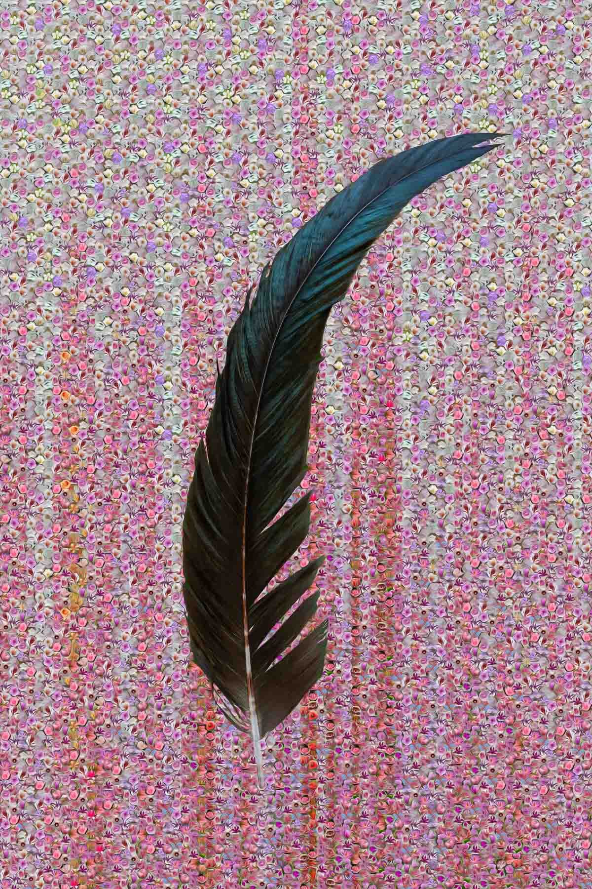 Zephyr